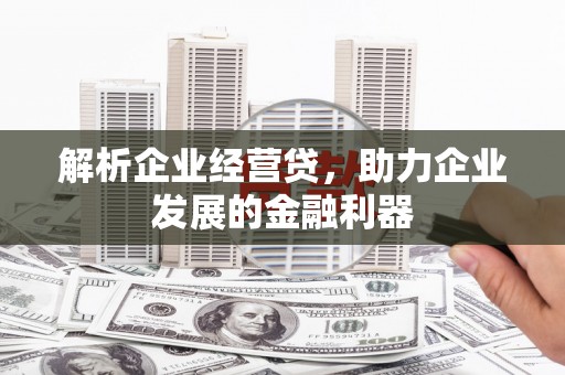 沧源解析企业经营贷，助力企业发展的金融利器