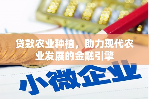 沧源贷款农业种植，助力现代农业发展的金融引擎