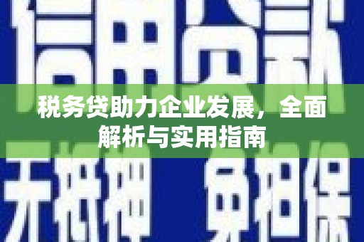 沧源税务贷助力企业发展，全面解析与实用指南