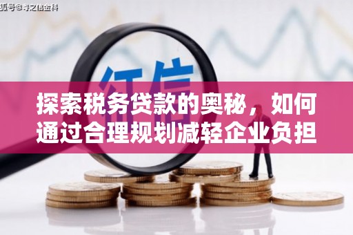 沧源探索税务贷款的奥秘，如何通过合理规划减轻企业负担