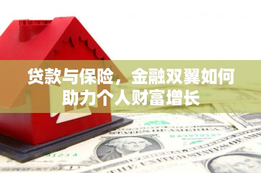 沧源贷款与保险，金融双翼如何助力个人财富增长