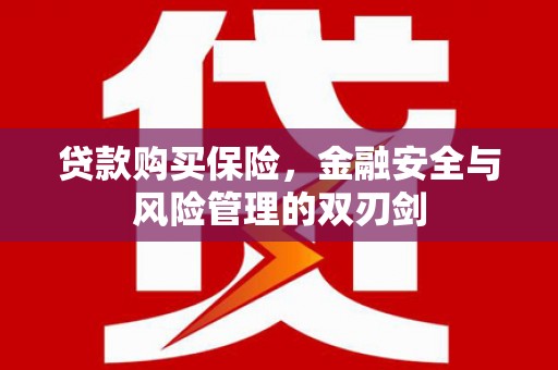 沧源贷款购买保险，金融安全与风险管理的双刃剑