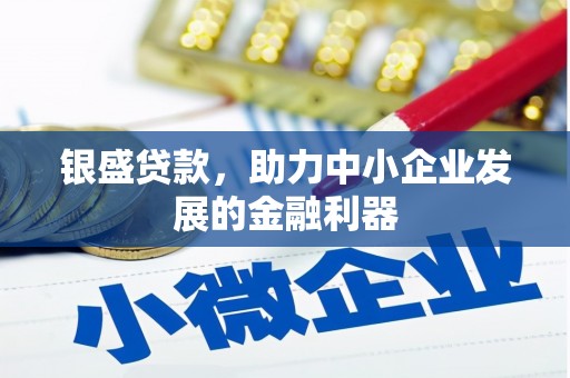 沧源银盛贷款，助力中小企业发展的金融利器