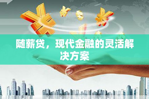 沧源随薪贷，现代金融的灵活解决方案
