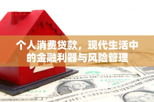 沧源个人消费贷款，现代生活中的金融利器与风险管理