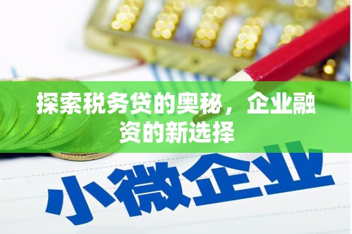 沧源探索税务贷的奥秘，企业融资的新选择