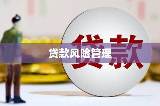 沧源贷款风险管理