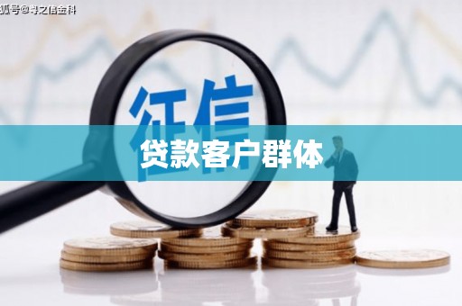 沧源贷款客户群体