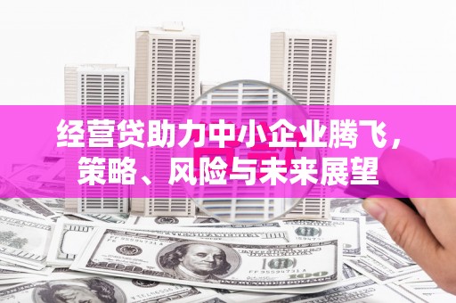 沧源经营贷助力中小企业腾飞，策略、风险与未来展望