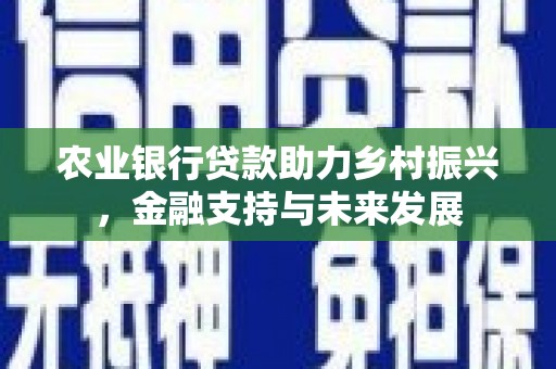 沧源农业银行贷款助力乡村振兴，金融支持与未来发展