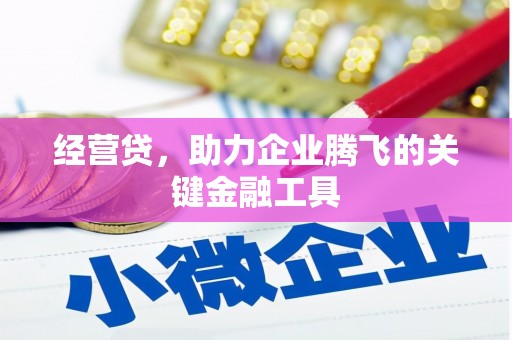 沧源经营贷，助力企业腾飞的关键金融工具