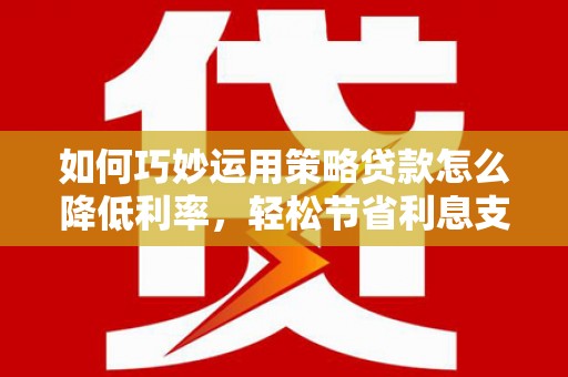 沧源如何巧妙运用策略贷款怎么降低利率，轻松节省利息支出