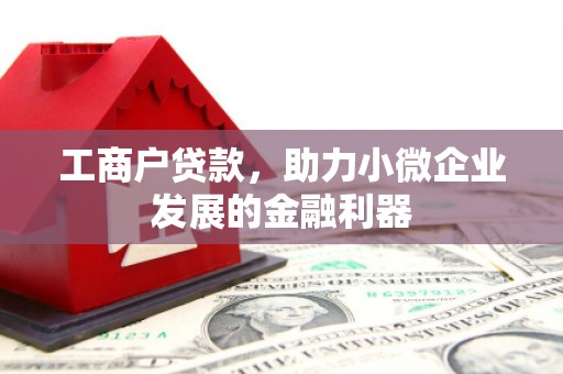 沧源工商户贷款，助力小微企业发展的金融利器