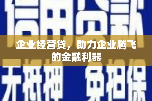 沧源企业经营贷，助力企业腾飞的金融利器