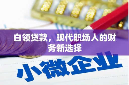 沧源白领贷款，现代职场人的财务新选择