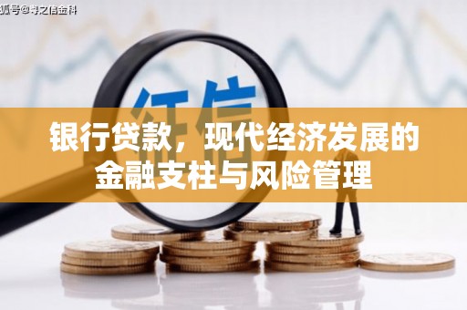 沧源银行贷款，现代经济发展的金融支柱与风险管理