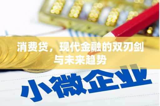 沧源消费贷，现代金融的双刃剑与未来趋势