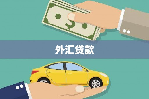 沧源外汇贷款