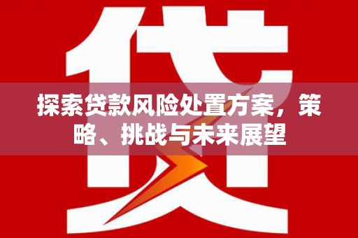 沧源探索贷款风险处置方案，策略、挑战与未来展望
