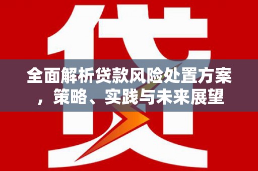沧源全面解析贷款风险处置方案，策略、实践与未来展望