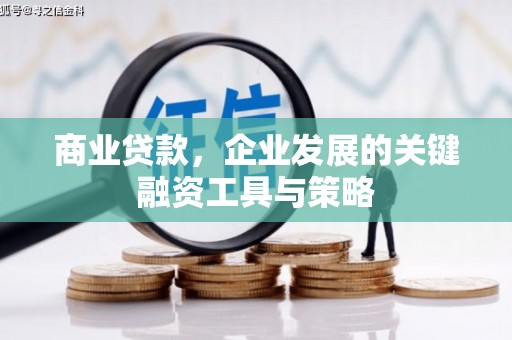 沧源商业贷款，企业发展的关键融资工具与策略