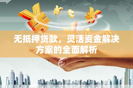 沧源无抵押贷款，灵活资金解决方案的全面解析