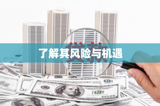 沧源了解其风险与机遇