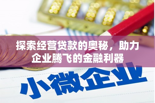 沧源探索经营贷款的奥秘，助力企业腾飞的金融利器