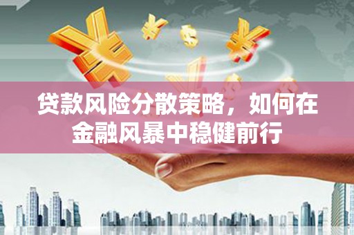 沧源贷款风险分散策略，如何在金融风暴中稳健前行