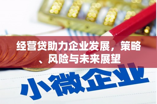 沧源经营贷助力企业发展，策略、风险与未来展望
