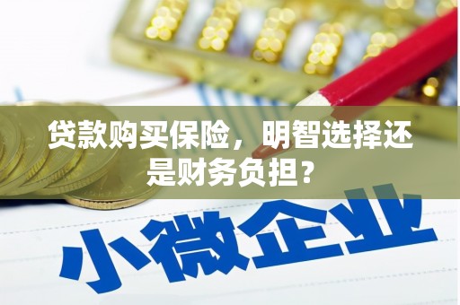 沧源贷款购买保险，明智选择还是财务负担？