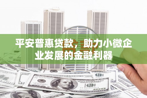沧源平安普惠贷款，助力小微企业发展的金融利器