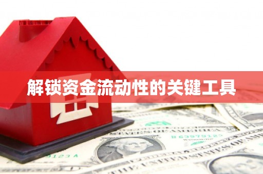 沧源解锁资金流动性的关键工具