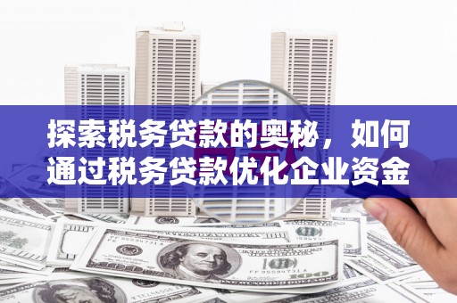 沧源探索税务贷款的奥秘，如何通过税务贷款优化企业资金流