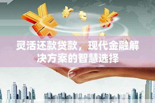 沧源灵活还款贷款，现代金融解决方案的智慧选择