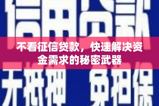 沧源不看征信贷款，快速解决资金需求的秘密武器