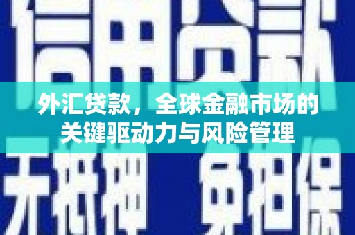 沧源外汇贷款，全球金融市场的关键驱动力与风险管理