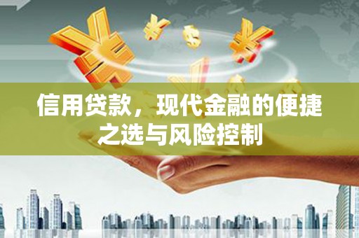 沧源信用贷款，现代金融的便捷之选与风险控制