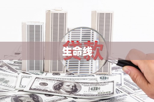 沧源生命线