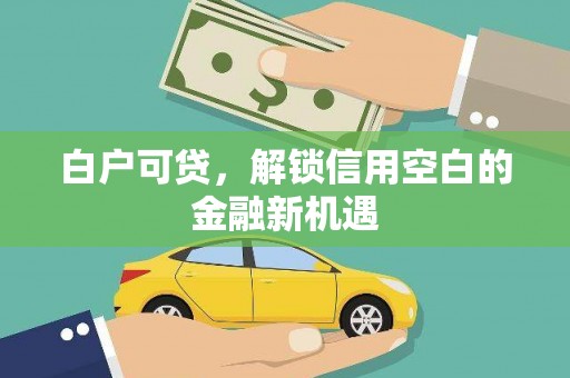 沧源白户可贷，解锁信用空白的金融新机遇