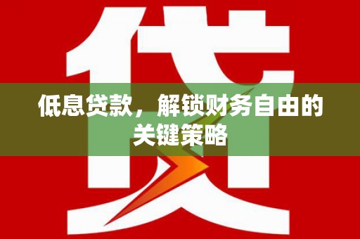 沧源低息贷款，解锁财务自由的关键策略