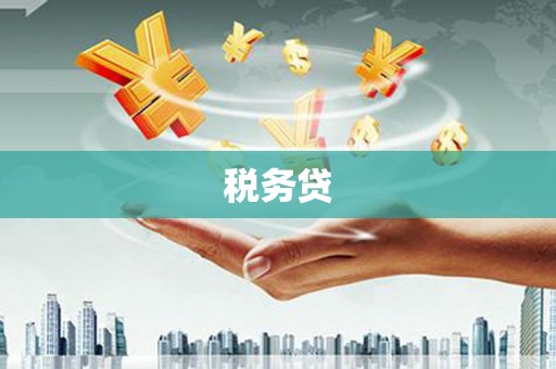 沧源税务贷