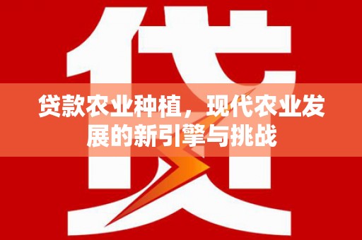 沧源贷款农业种植，现代农业发展的新引擎与挑战