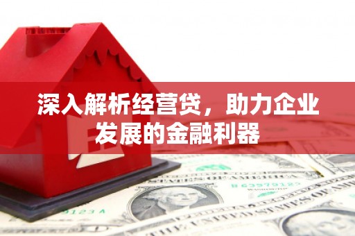 沧源深入解析经营贷，助力企业发展的金融利器