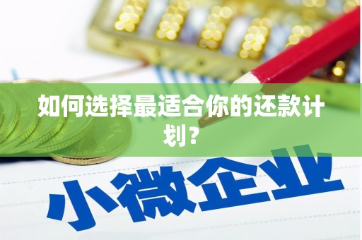 沧源如何选择最适合你的还款计划？