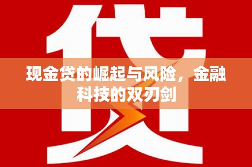 沧源现金贷的崛起与风险，金融科技的双刃剑