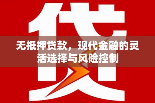 沧源无抵押贷款，现代金融的灵活选择与风险控制