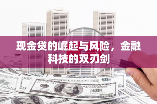 沧源现金贷的崛起与风险，金融科技的双刃剑
