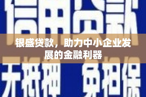 沧源银盛贷款，助力中小企业发展的金融利器
