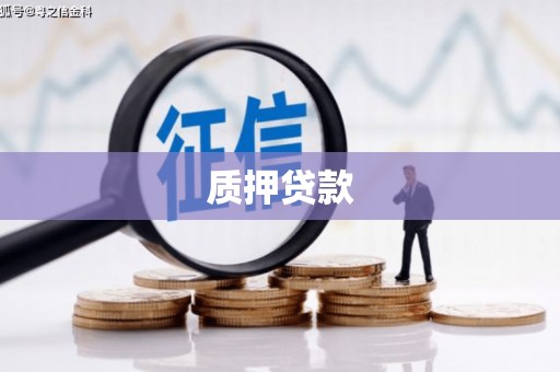 沧源质押贷款